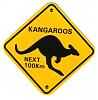 kangaroos-next-100km.jpg