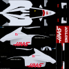 FBM_Haas-VF20.jpg