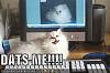 funny-pictures-cat-is-excited-to-see-her-picture.jpg