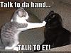 funny-pictures-cat-talk-to-the-hand.medium.jpg